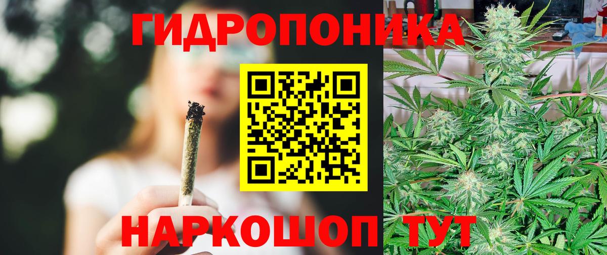 Шишки марихуана марихуана Петропавловск-Камчатский
